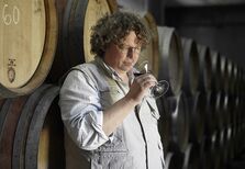 Este Niepoort foi considerado o melhor vinho fortificado do mundo