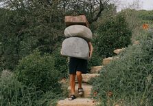 Peças de design, toalhas ou plantas. Novas marcas portuguesas para descobrir agora