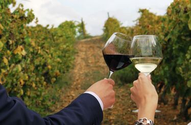 E se pudesse fazer o seu próprio vinho?