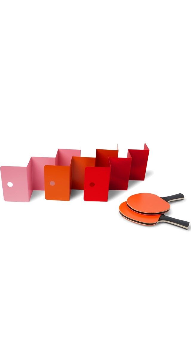 2021-01-29_14_08_34 10 The Art of  Ping Pong 195E.jpg