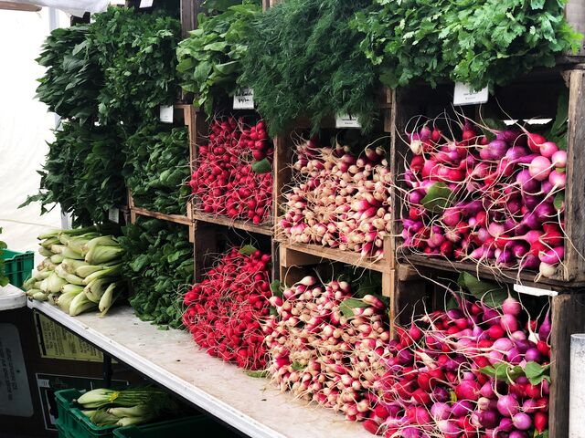 A dieta plant based tem ganho um número crescente de adeptos nos últimos anos e a tendência é para aumentar