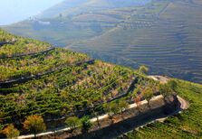 Portugal é o oitavo destino preferido pelos viajantes de luxo