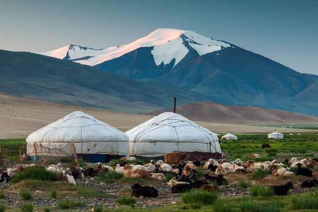 Rebanho de cabras e iurtas nas Montanhas Altai, Mongólia