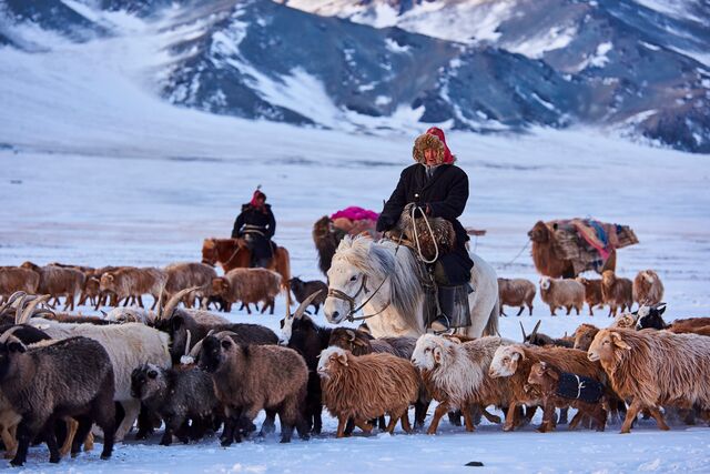 Transumância de inverno dos nómadas cazaque na província de Bayan-Ulgii, Mongólia