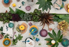 Le Creuset lança coleção inspirada em botânicos e em frutas