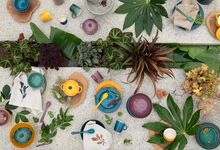 Le Creuset lança coleção inspirada em botânicos e em frutas