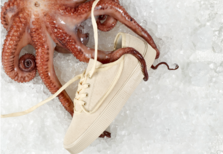 Sanjo e La Paz juntam-se para criar os ténis portugueses do verão