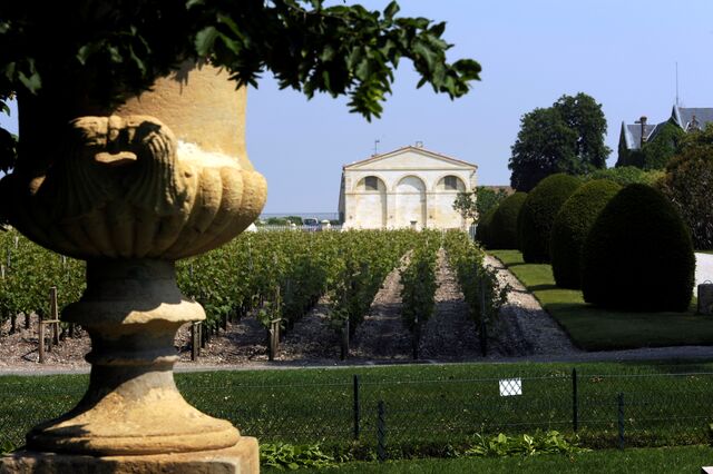 O Château Mouton Rotschild e as suas vinhas