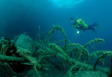 Carros vintage, tanques de guerra, aviões. Os tesouros no fundo do lago Como