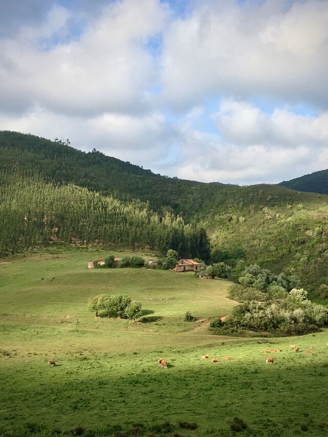 A paisagem rural de Odeceixe