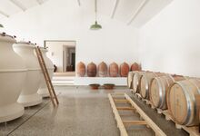 O génio do Alentejo numa garrafa 