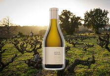 Série Ímpar: de vinhas velhas e tortas se fez um branco incrível