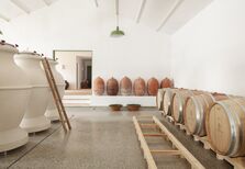 O génio do Alentejo numa garrafa