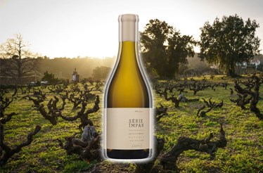 Série Ímpar: de vinhas velhas e tortas se fez um branco incrível