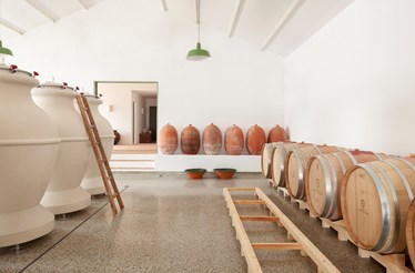 O génio do Alentejo numa garrafa 
