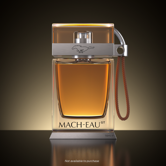 Mach-Eau, Ford (preço sob consulta)