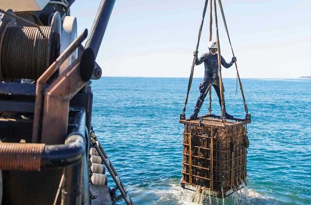 Os vinhos da Ocean Fathoms.