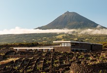 Azores Wine Company, a nova erupção vínica de António Maçanita