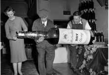 6 vinhos a não perder esta semana