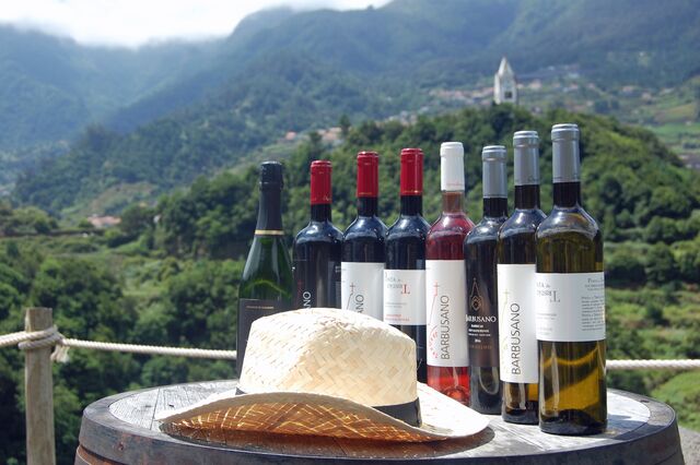 Todos os vinhos da Quinta do Barbusano.