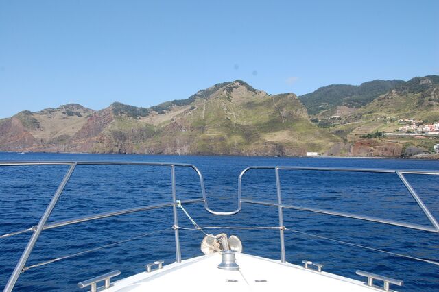 Os passeios de barco da Rota dos Cetáceos.