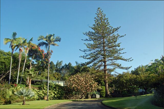 Quinta da Casa Branca, no Funchal.