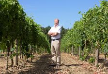 “Boas uvas são a chave para um bom vinho”