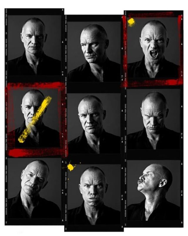 Sting, 2011.