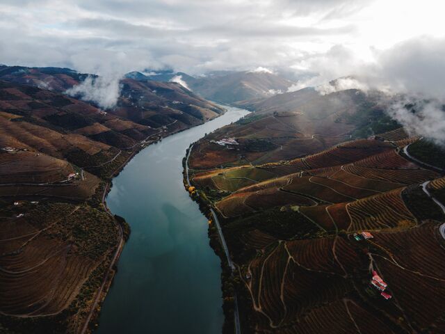 Vinhas à beira do rio Douro.