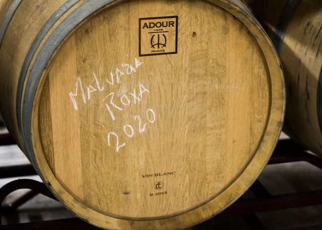 Casta Malvasia Roxa 2020