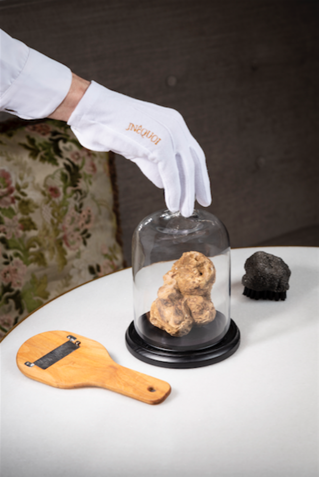 Trufas, para a semana temática dedicada à iguaria no JNcQUOI