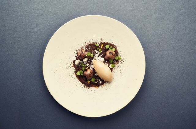 A malfadada sobremesa de chocolate e cogumelos