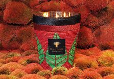 Baobab lança coleção de natal para ajudar mulheres em África