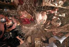 Vinhos para um ano que todos esperam bem melhor