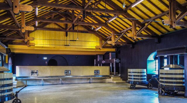 Winery da Quinta do Castro