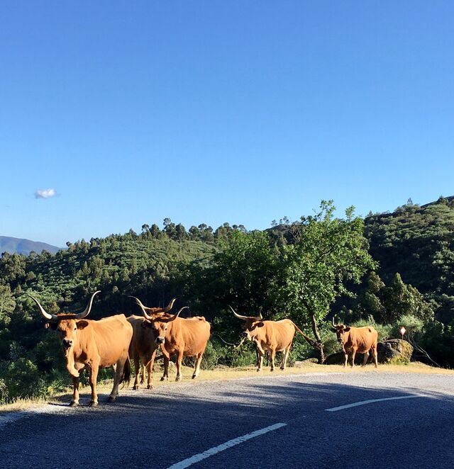 Soajo, Gerês