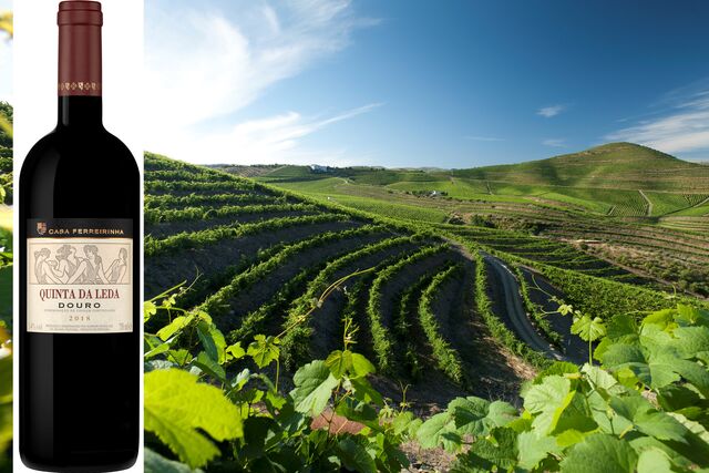 Quinta da Leda 2018