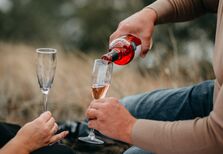 Branco, tinto ou rosé? Os destaques do início do ano