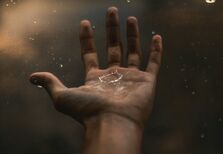 Perfumes que cheiram a chuva. A tendência do momento