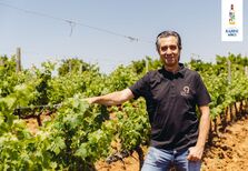 A nova vida dos vinhos do Algarve