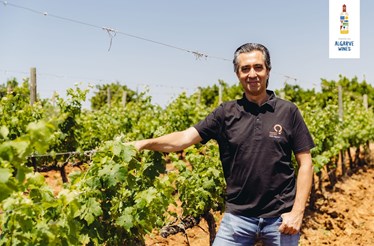 A nova vida dos vinhos do Algarve