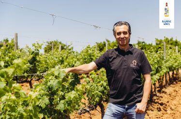 A nova vida dos vinhos do Algarve