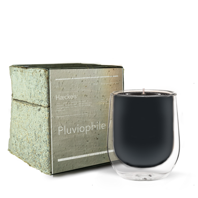 Vela Pluviophile, Haeckels