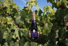 Quinta dos Abibes, um terroir no coração da Bairrada