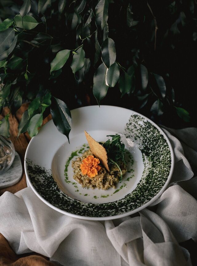 Aveia em três texturas - risoto de grãos de aveia com limão, queijo brie vegan, cogumelo Eryngui, crocante de aveia com wasabi, infusão de leite de aveia com azeite perfumado de hortelã.jpg
