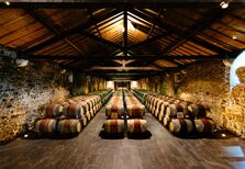 Quinta do Monte d’Oiro: José e Francisco, treinador e capitão