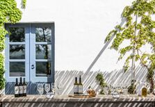 Uma grande surpresa vínica no Alentejo