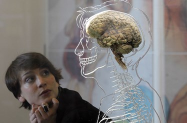 O esgotamento altera o cérebro, afirmam especialistas