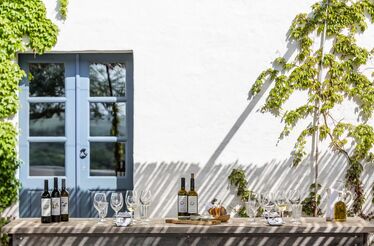 Uma grande surpresa vínica no Alentejo