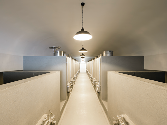 Barrocal adega interior